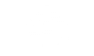 شبکه یک (2)