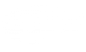 نان رضوی (2)